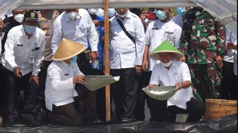 KKP Dorong Pengembangan Garam Piramid di Kampung Garam Kebumen