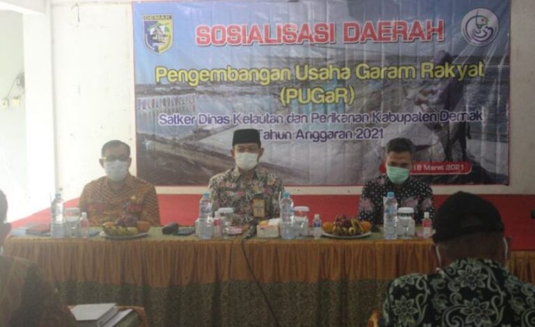 Sekda Kabupaten Demak Dorong Petani Garam Tingkatkan Produksi secara Modern