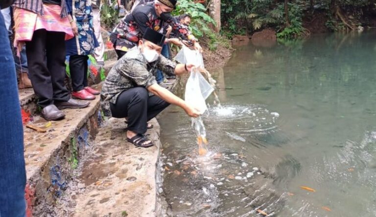 Sensasi Tiada Dua Kali Odo, Simak Penjelasannya