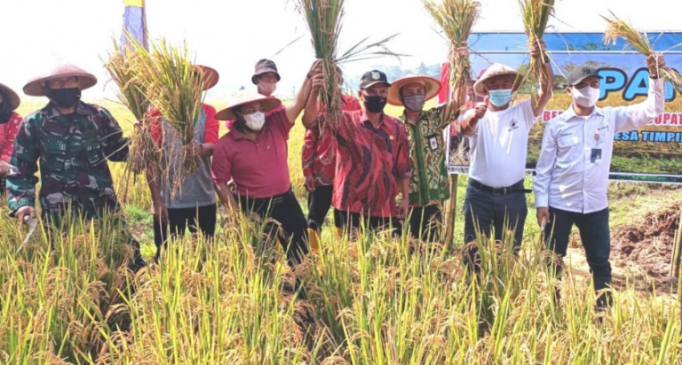 Jelang Ramadhan, Begini Stok Ketersediaan Beras Jawa Tengah