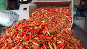 komoditas pangan menjelang hari raya Idul Fitri di wilayah Kabupaten Demak mengalami surplus
