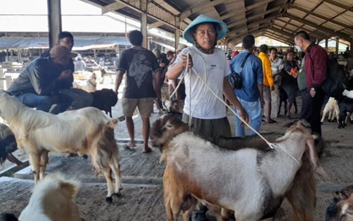 Sembilan Pasar Hewan di Wonosobo Ditutup