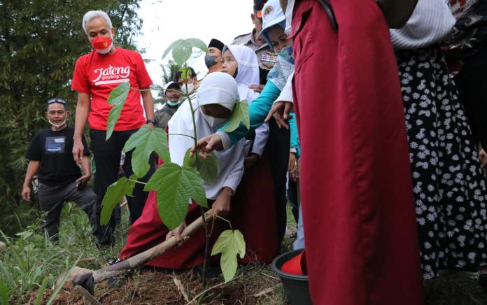 Tanam 1.000 Pohon di Lahan Kritis, Inisiatif Warga Banjarnegara Olah Hasil Tanaman