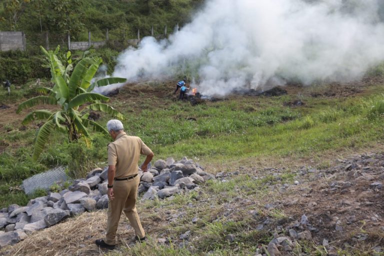 Cegah Kasus Laka Pemalang Terulang, Ganjar Turun Matikan Api Pembakaran Rumput di Tepi Tol