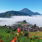 Gunung Prau: Simbol Pelestarian Alam dan Inspirasi Aksi Konservasi dalam 'Puncak Bulan Konservasi: Aksara Hijau untuk Bumi Pertiwi'
